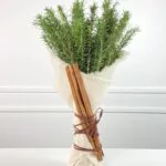 Green Team - Buquê de Alecrim