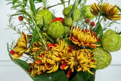 Principais Flores para as Festas de Fim de Ano! 2 Flores para fim de ano.