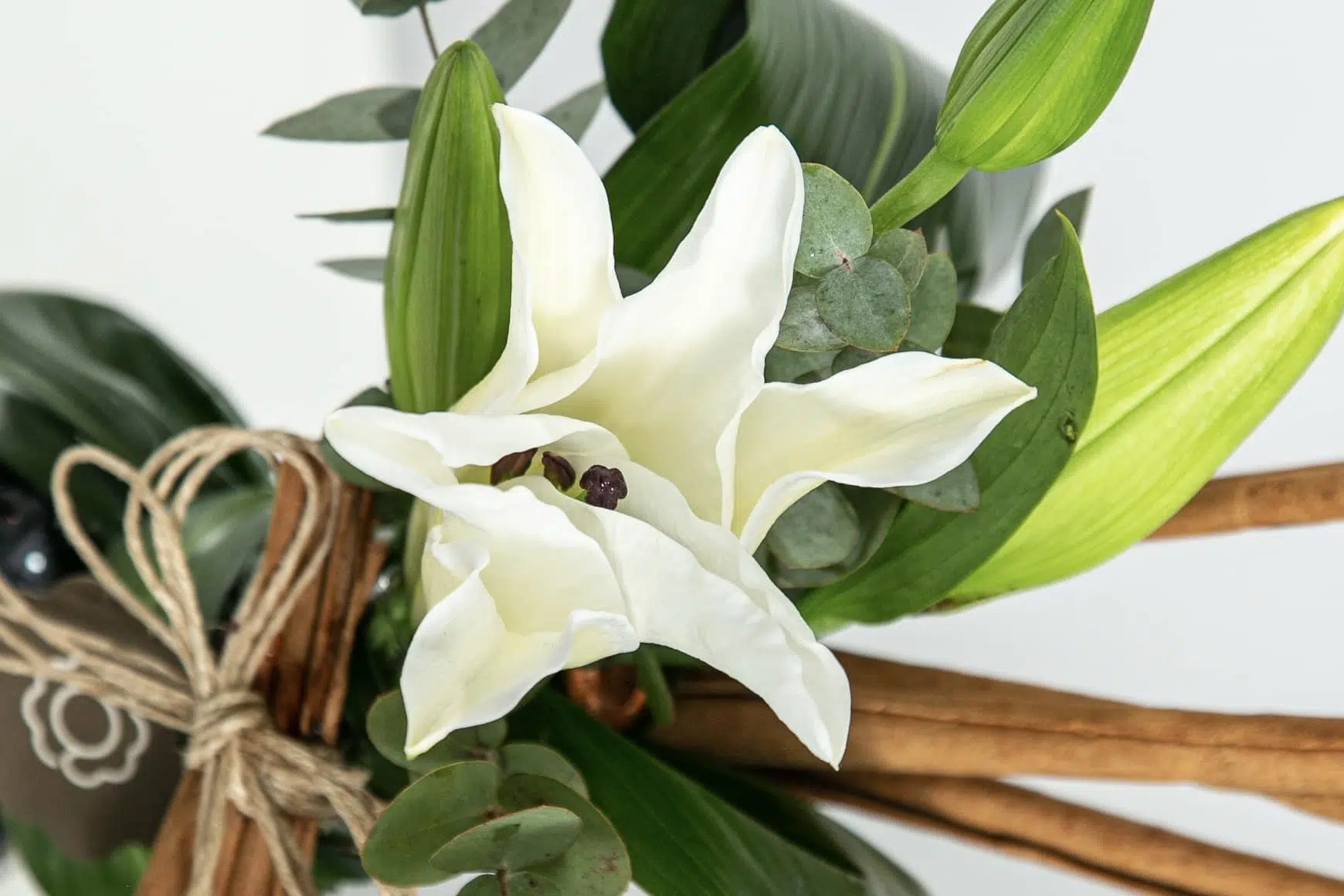 Principais Flores para as Festas de Fim de Ano! 3 Lírio branco visto de cima