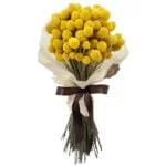 buquê de craspedias amarelas em tecido natural de algodão com fita cetim marrom