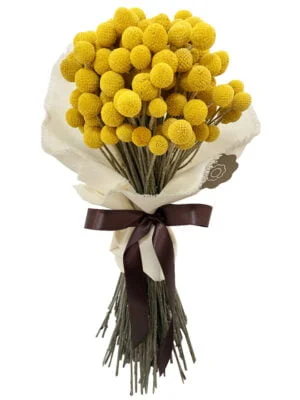 buquê de craspedias amarelas em tecido natural de algodão com fita cetim marrom