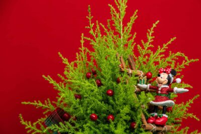árvore de Natal enfeitada com bolas vermelhas e boneco da Minney.