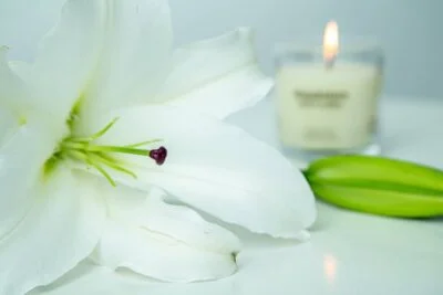 Flor de pétala branca com vela desfocada ao fundo, saiba onde surgiu a linguagem das flores.