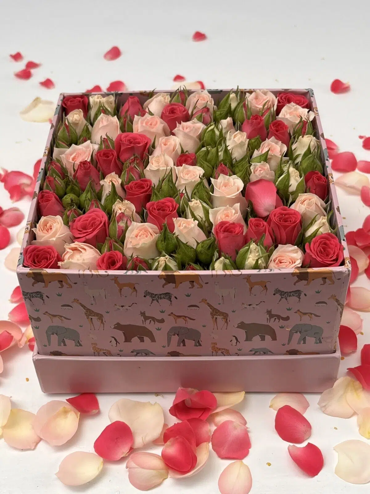 Bienvenue - Box Infantil de Mini Rosas - Imagem 1
