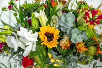 Como presentear com flores de aniversário? 6 Mix de flores contendo várias espécies que podem ser dadas de presente.