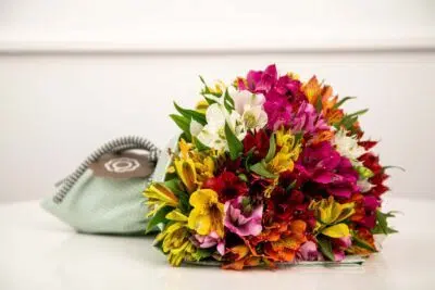 Como presentear com flores de aniversário? 4 Astromélias coloridas.