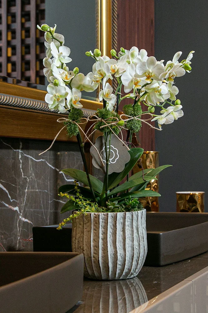 cuidados com as flores arquitetura das flores porto alegre 7