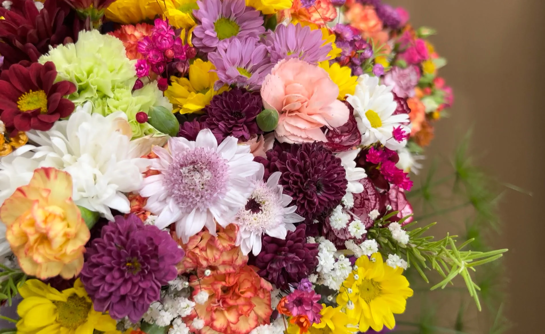 Cravinas de cores variadas são flores de janeiro.