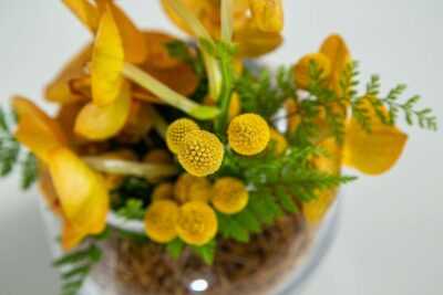 dia do esportista flores ideias para presentear na data especial arquitetura das flores porto alegre 5 scaled e1675791971167
