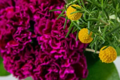 Cravina rosa ao lado de flor amarelo.