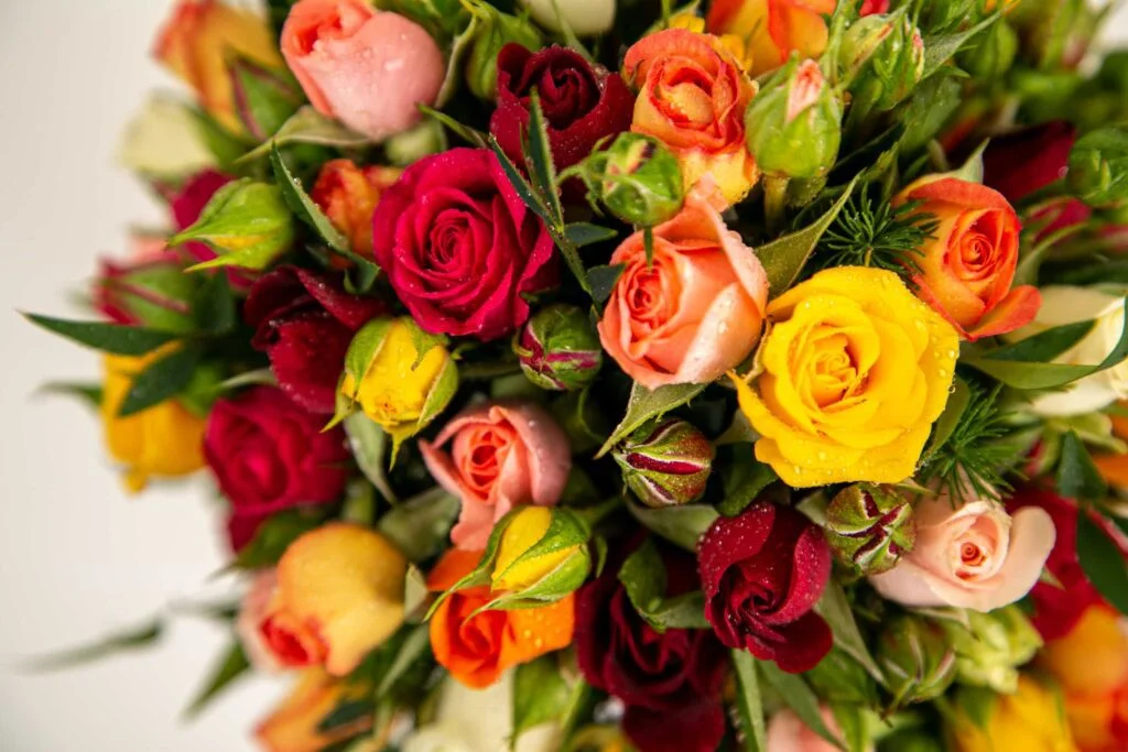 Buquê de rosas coloridas, nas cores vermelha, amarelo e rosa que podem ser usadas em fantasias de carnaval.