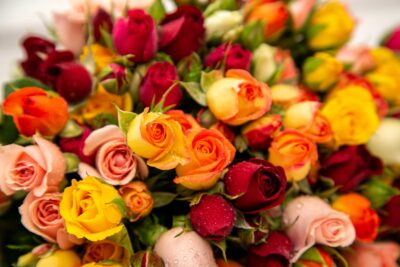 Arranjo de rosas com pétalas coloridas nas cores laranja, amarelo, vermelho e rosa.