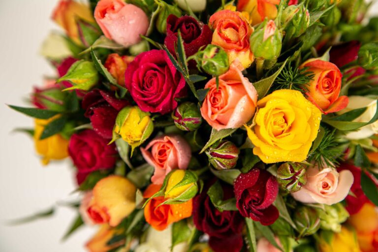 Buquê de rosas coloridas, nas cores vermelha, amarelo e rosa que podem ser usadas em fantasias de carnaval.