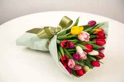 Fantasia de Carnaval com flores para aproveitar a folia com muita alegria 9 Tulipas com pétalas coloridas nas cores vermelho, amarelo e rosa.