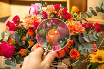 Fantasia de Carnaval com flores para aproveitar a folia com muita alegria 10 Lupa direcionada para uma rosa laranja.