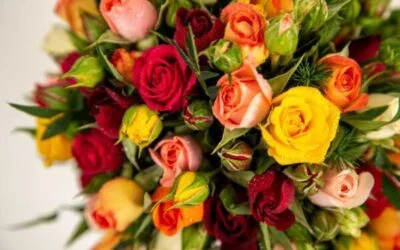 Buquê de rosas coloridas, nas cores vermelha, amarelo e rosa que podem ser usadas em fantasias de carnaval.