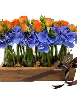 arranjo de cachepo com mini rosas e hortensias