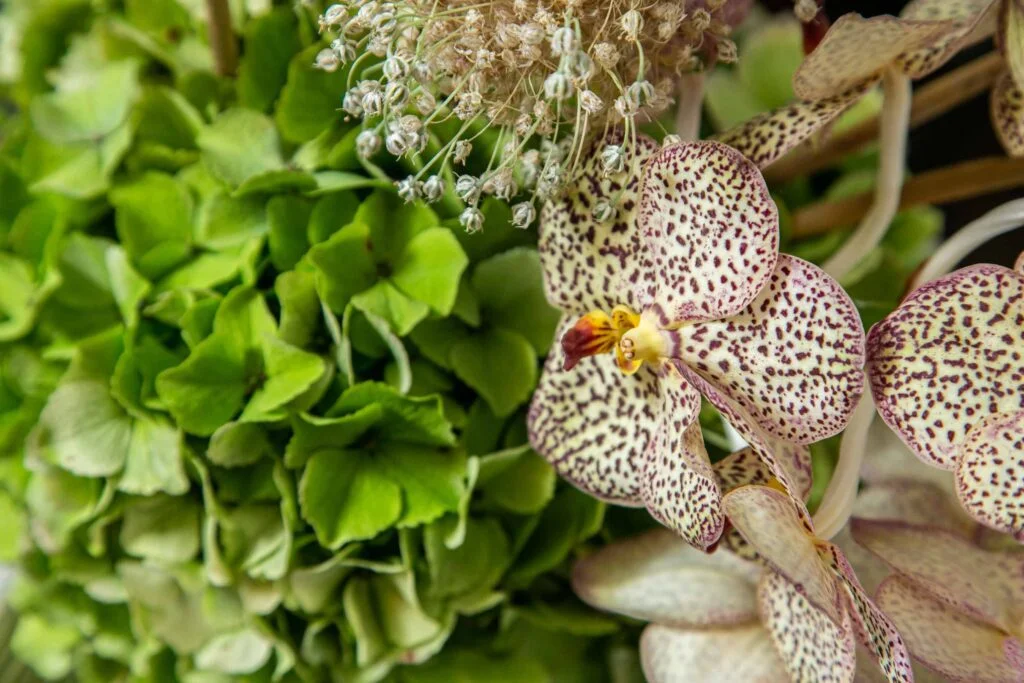 Pintores famosos que fizeram quadros com pétalas marrons e verdes