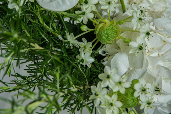 Flores brancas com caule verde vista de cima.