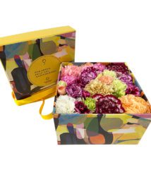 meules box de cravos coloridos arquitetura das flores porto alegre 1
