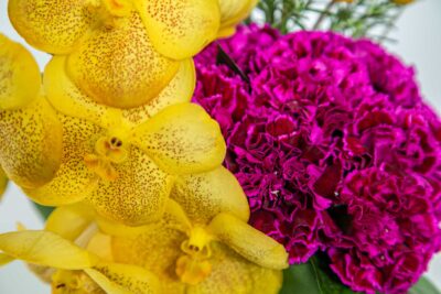 Orquídea amarela e cravina roxa em vaso de flor.