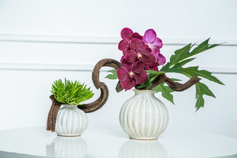 Orquídea roxa em vaso e fundo branco