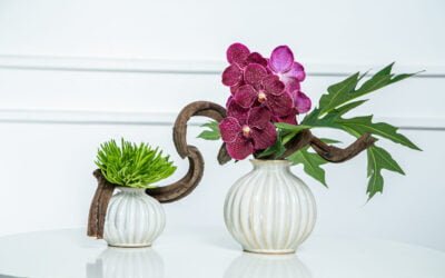 Orquídea roxa em vaso e fundo branco
