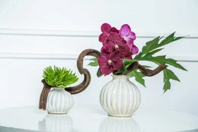 Orquídea roxa em vaso e fundo branco