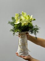 Maranello - Buquê de Mini Orquídeas Phalaenópsis Amarelas - Imagem 2