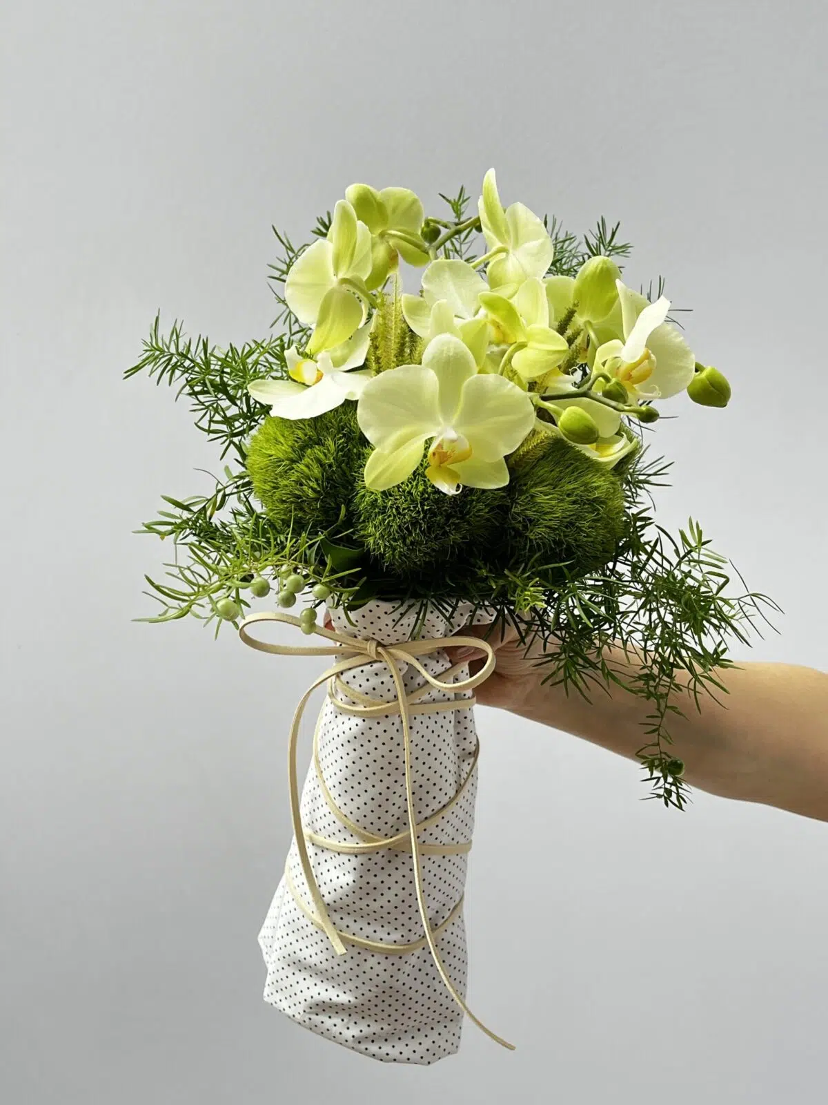 Maranello - Buquê de Mini Orquídeas Phalaenópsis Amarelas - Imagem 1
