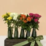 Baluarte - Arranjo de Mini Rosas