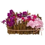Delphine - Arranjo de Orquídeas, Hortênsias e Mini Rosas