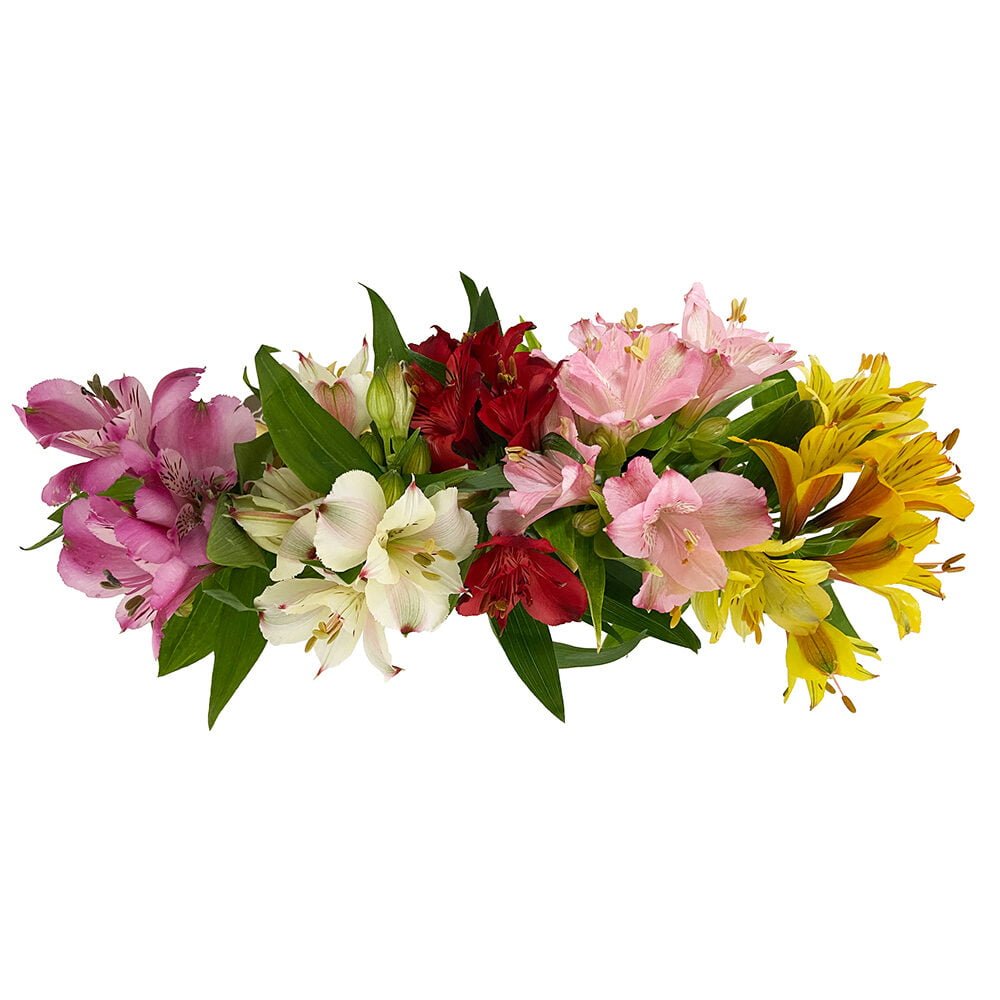 memphis arranjo com astromelias coloridas em garrafinhas arquitetura das flores porto alegre 4 rotated