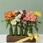 Memphis - Arranjo com Astromelias Coloridas em Garrafinhas