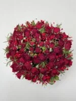 Soneto - Box de Mini Rosas Vermelhas - Imagem 2