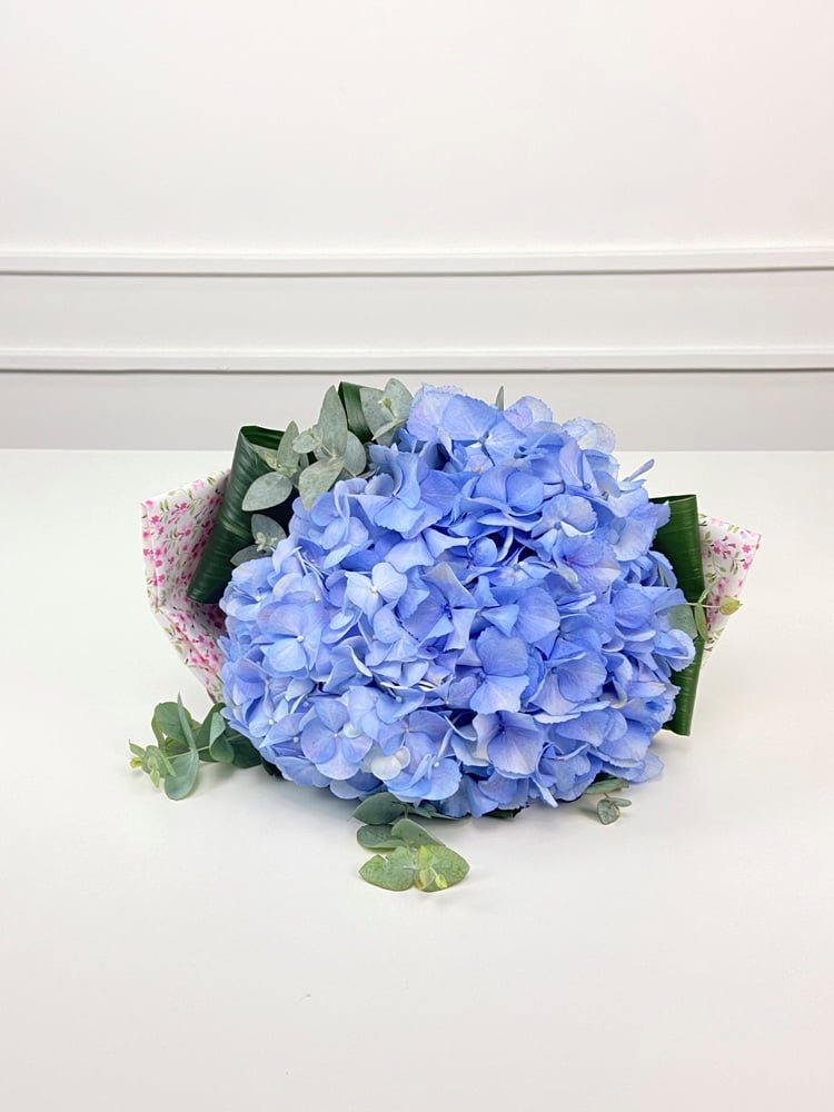 encanto celeste buque de hortensias azuis arquitetura das flores porto alegre 1