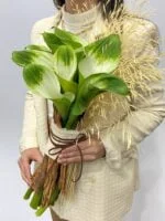 Michelangelo - Buquê de Callas e Canelas