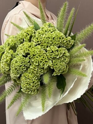 banksy buque de celosias arquitetura das flores porto alegre 1