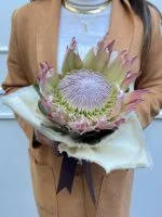 Protea King - Buquê de Protea - Imagem 2