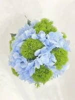 Riviera - Arranjo de Hortênsias e Dianthus - Imagem 2