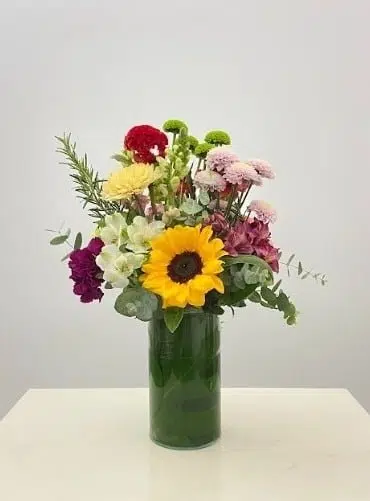 Pequeno Assinatura P - Mensal - Imagem 1