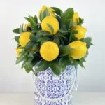 Santorini - Arranjo em Box com Limão Siciliano