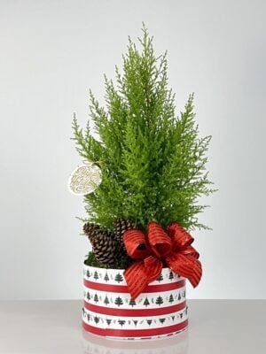 arquitetura das flores porto alegre 4