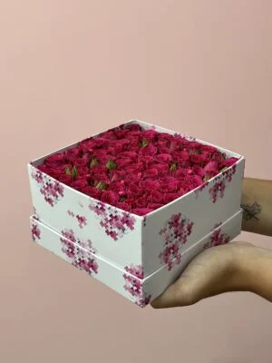 Vítis - Box de Mini Rosas Vermelhas
