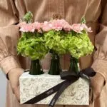 Pórtico - Arranjo de Hortênsias e Cravinas