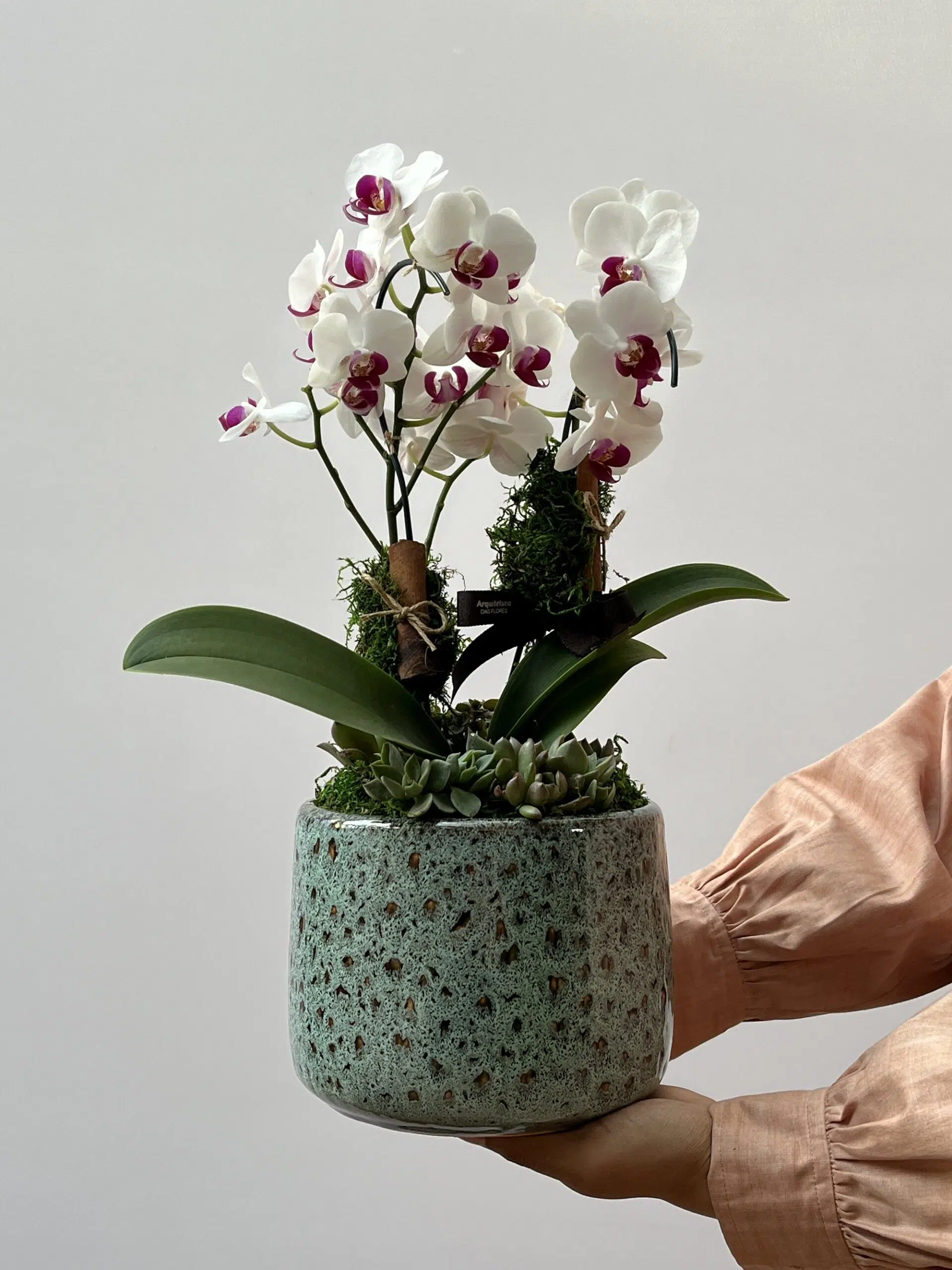 IMG_7702 Douceur - Arranjo de mini Orquídeas - Imagem 1