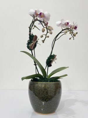 vase noble arquitetura das flores porto alegre scaled