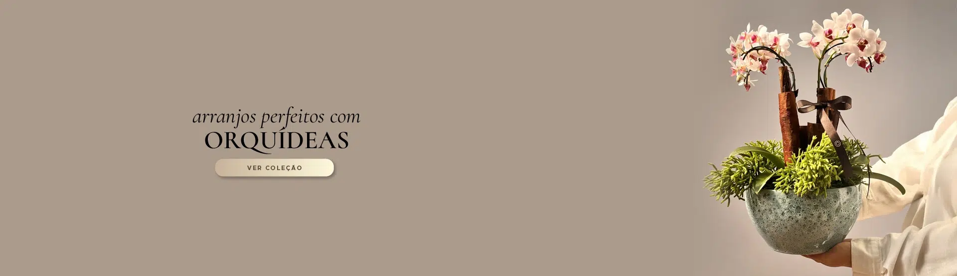 Banner Orquídeas