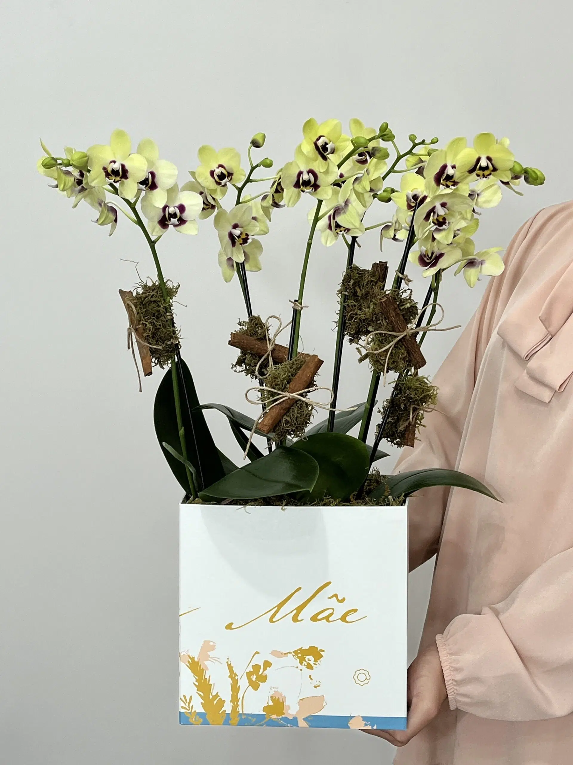 IMG_1760 Clarity - Arranjo de mini Orquídeas - Imagem 1