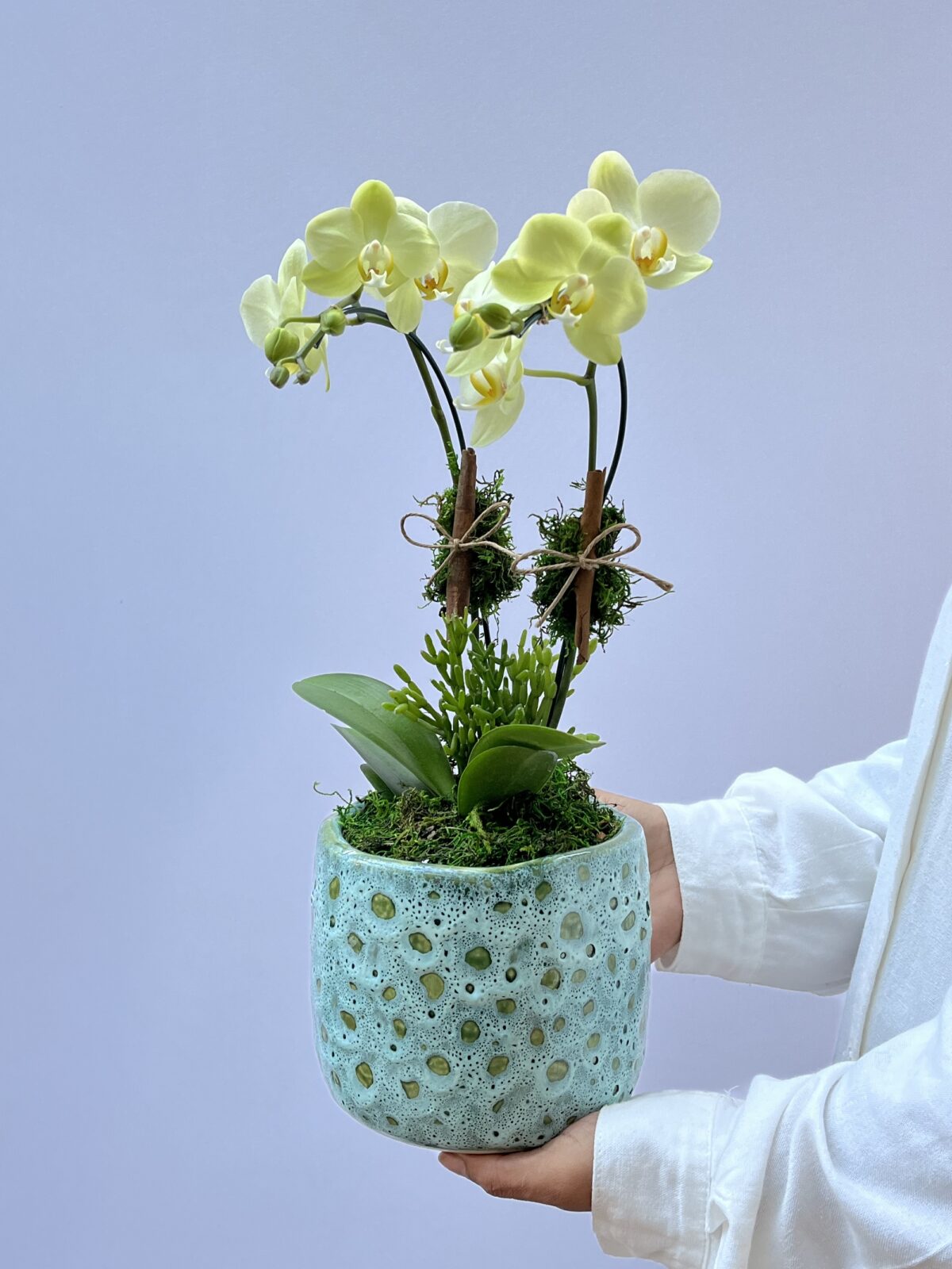 Flores online 1 scaled